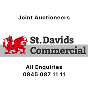 St David's Commercial logo